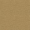 Buckskin